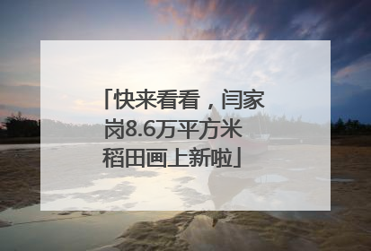 快来看看，闫家岗8.6万平方米稻田画上新啦