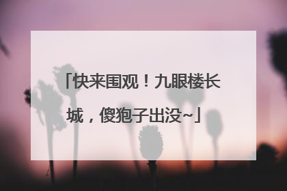 快来围观！九眼楼长城，傻狍子出没~