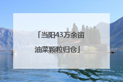 当阳43万余亩油菜颗粒归仓