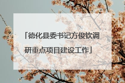 德化县委书记方俊钦调研重点项目建设工作
