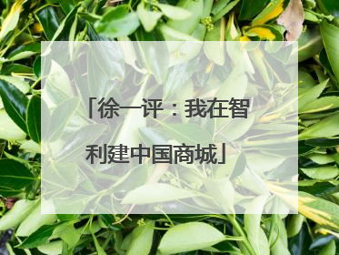徐一评：我在智利建中国商城