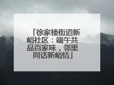 徐家楼街道新峪社区：端午共品百家味，邻里同话新峪情