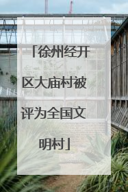 徐州经开区大庙村被评为全国文明村