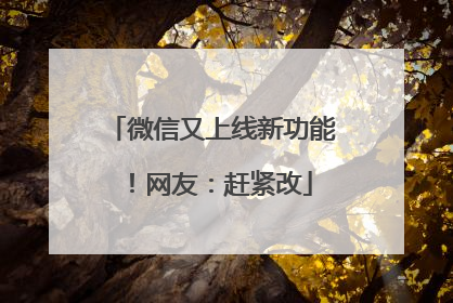 微信又上线新功能！网友：赶紧改