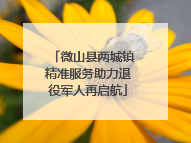微山县两城镇精准服务助力退役军人再启航