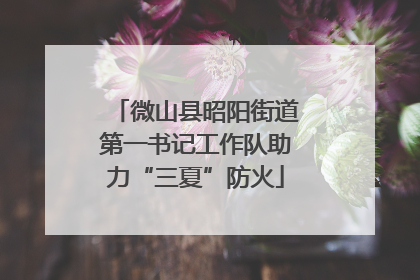 微山县昭阳街道第一书记工作队助力“三夏”防火
