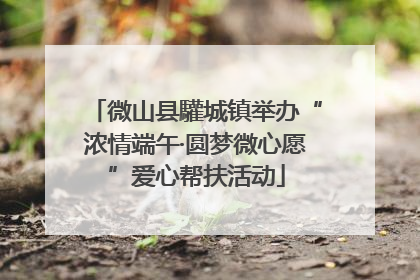 微山县驩城镇举办“浓情端午·圆梦微心愿”爱心帮扶活动