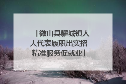 微山县驩城镇人大代表履职出实招精准服务促就业