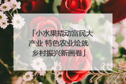 小水果撬动富民大产业 特色农业绘就乡村振兴新画卷