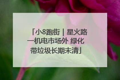 小8跑街｜星火路一机电市场外 绿化带垃圾长期未清