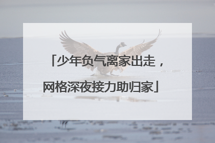 少年负气离家出走，网格深夜接力助归家