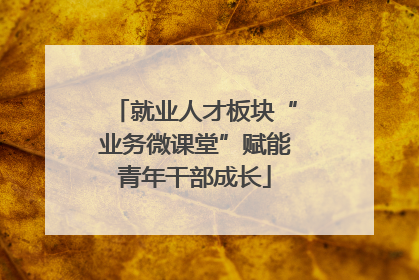 就业人才板块“业务微课堂”赋能青年干部成长