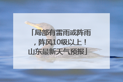 局部有雷雨或阵雨，阵风10级以上！山东最新天气预报
