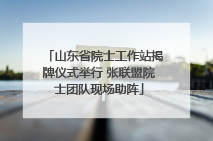 山东省院士工作站揭牌仪式举行 张联盟院士团队现场助阵