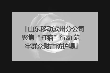 山东移动滨州分公司聚焦“打猫”行动 筑牢群众财产防护堤