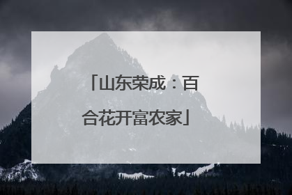 山东荣成：百合花开富农家