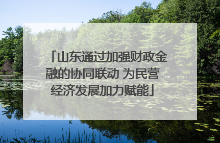 山东通过加强财政金融的协同联动 为民营经济发展加力赋能