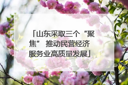 山东采取三个“聚焦” 推动民营经济服务业高质量发展