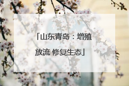 山东青岛：增殖放流 修复生态