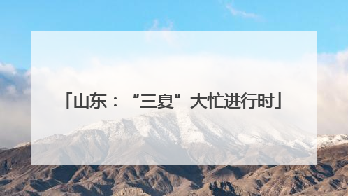 山东：“三夏”大忙进行时