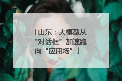 山东：大模型从“对话框”加速跑向“应用场”