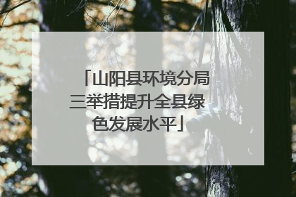 山阳县环境分局三举措提升全县绿色发展水平