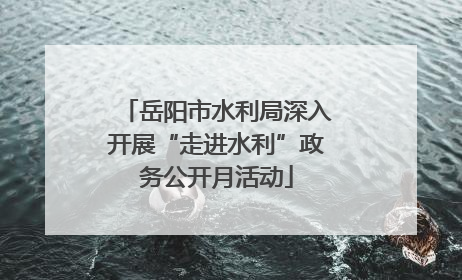 岳阳市水利局深入开展“走进水利”政务公开月活动