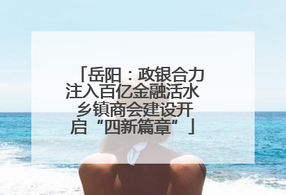 岳阳：政银合力注入百亿金融活水 乡镇商会建设开启“四新篇章”