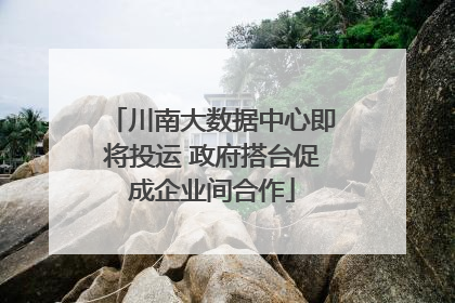 川南大数据中心即将投运 政府搭台促成企业间合作