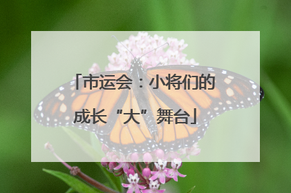 市运会：小将们的成长“大”舞台