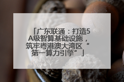 广东联通：打造5A级智算基础设施，筑牢粤港澳大湾区“第一算力引擎”