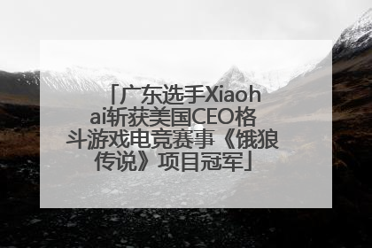 广东选手Xiaohai斩获美国CEO格斗游戏电竞赛事《饿狼传说》项目冠军