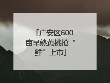 广安区600亩早熟黄桃抢“鲜”上市