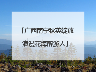 广西南宁秋英绽放 浪漫花海醉游人
