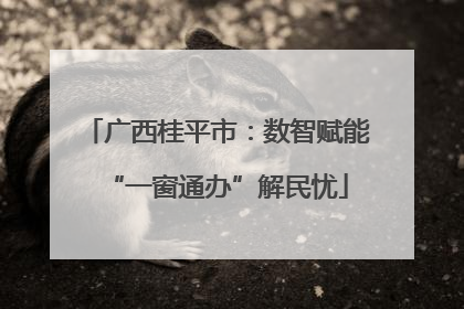 广西桂平市：数智赋能“一窗通办”解民忧
