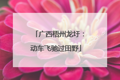 广西梧州龙圩：动车飞驰过田野