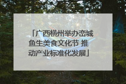 广西横州举办峦城鱼生美食文化节 推动产业标准化发展