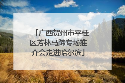 广西贺州市平桂区芳林马蹄专场推介会走进哈尔滨