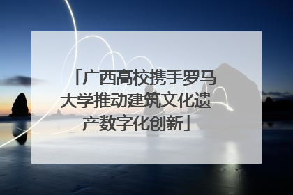 广西高校携手罗马大学推动建筑文化遗产数字化创新