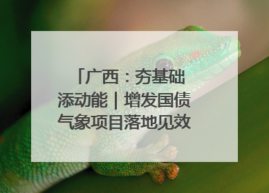 广西：夯基础 添动能｜增发国债气象项目落地见效系列报道