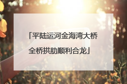 平陆运河金海湾大桥全桥拱肋顺利合龙