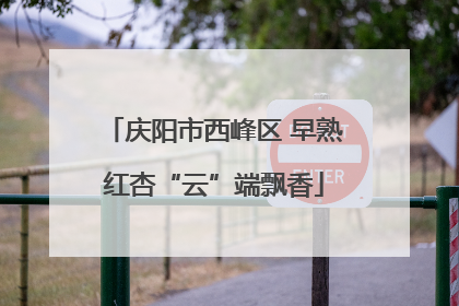 庆阳市西峰区 早熟红杏“云”端飘香