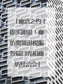 廊洽之约丨即买即退！廊坊离境退税服务端口亮相廊坊经洽会