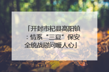 开封市杞县高阳镇：情系“三夏”保安全统战慰问暖人心