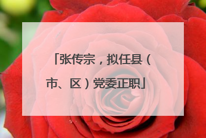 张传宗，拟任县（市、区）党委正职
