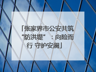 张家界市公安共筑“防洪堤”：向险而行 守护安澜