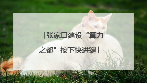 张家口建设“算力之都”按下快进键