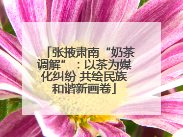 张掖肃南“奶茶调解”：以茶为媒化纠纷 共绘民族和谐新画卷