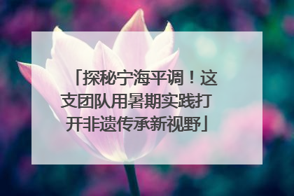 探秘宁海平调！这支团队用暑期实践打开非遗传承新视野