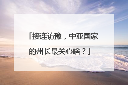 接连访豫，中亚国家的州长最关心啥？